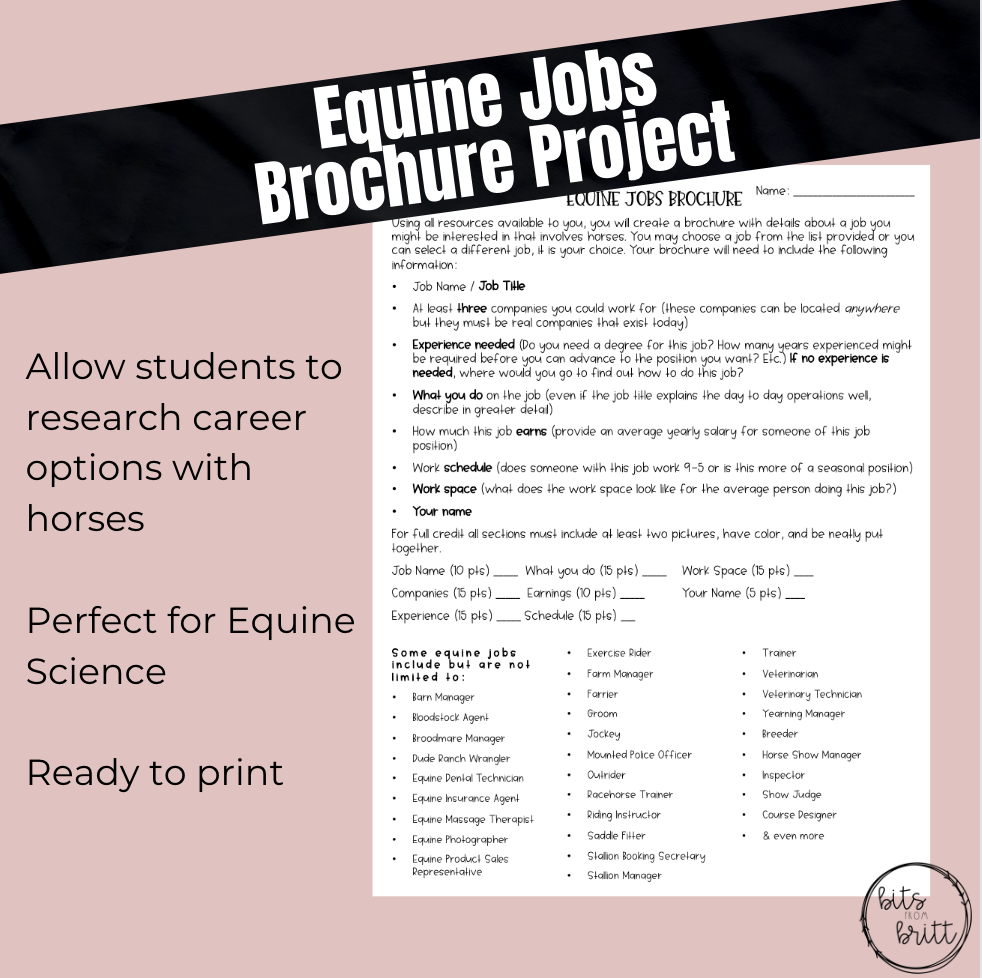Equine Jobs Brochure