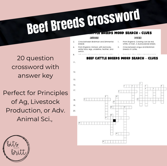 Beef Cattle Breed Crossword