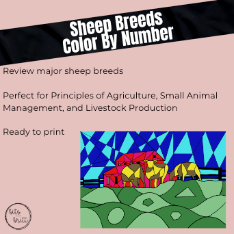 Sheep Breed Color By Number