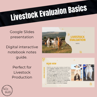 Livestock Evaluation Basics