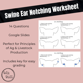 Swine Ear Notching Worksheet