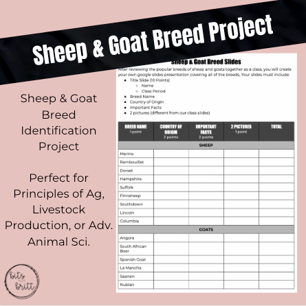 Sheep & Goat Breed Slide Project