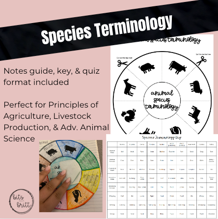 Species Terminology Foldable & Chart Bundle