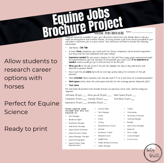 Equine Jobs Brochure